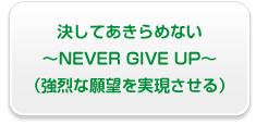 決してあきらめない ～NEVER GIVE UP～ （強烈な願望を実現させる）